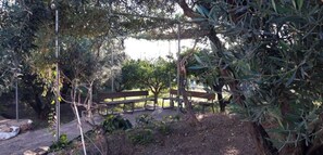 Property grounds - Traditional country house with private pool (Canjáyar)