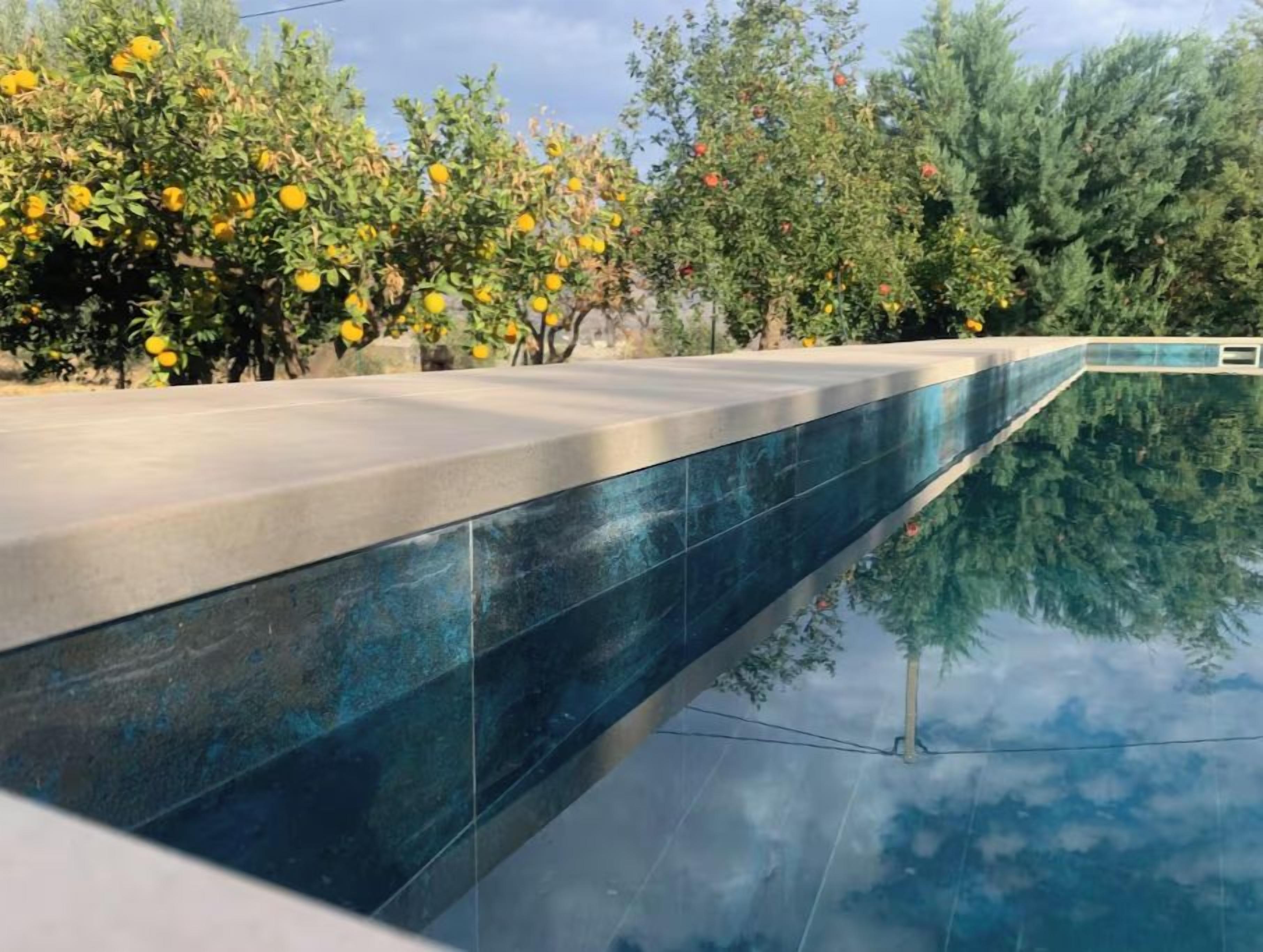 A swimming pool with a reflective surface, surrounded by trees and greenery.