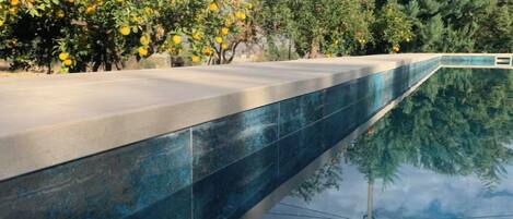 A swimming pool with a reflective surface, surrounded by trees and greenery.