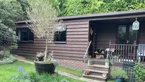 A wooden house with a porch, a small garden with plants and flowers, and a birdcage hanging on the porch.