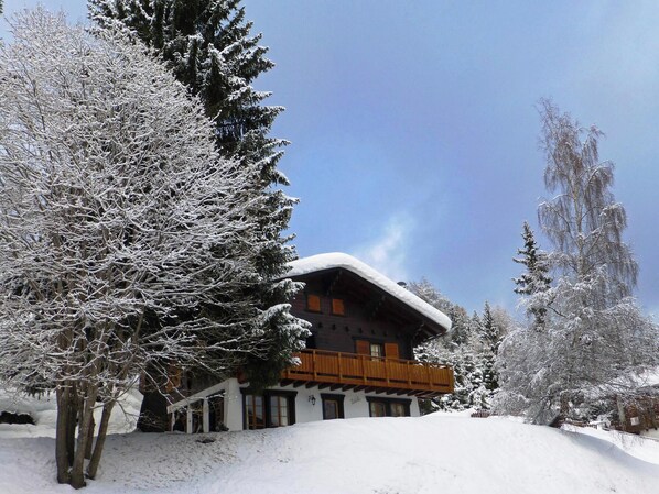 Exterior - Superb chalet for rent in les Collons (Thyon-Les Collons)