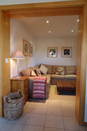 Télévision, cheminée, lecteur de DVD