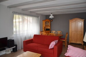Télévision, cheminée, lecteur de DVD