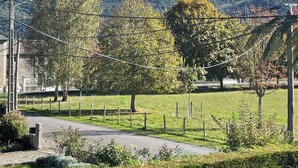 Un paysage rural avec une route, des arbres et des montagnes en arrière-plan.