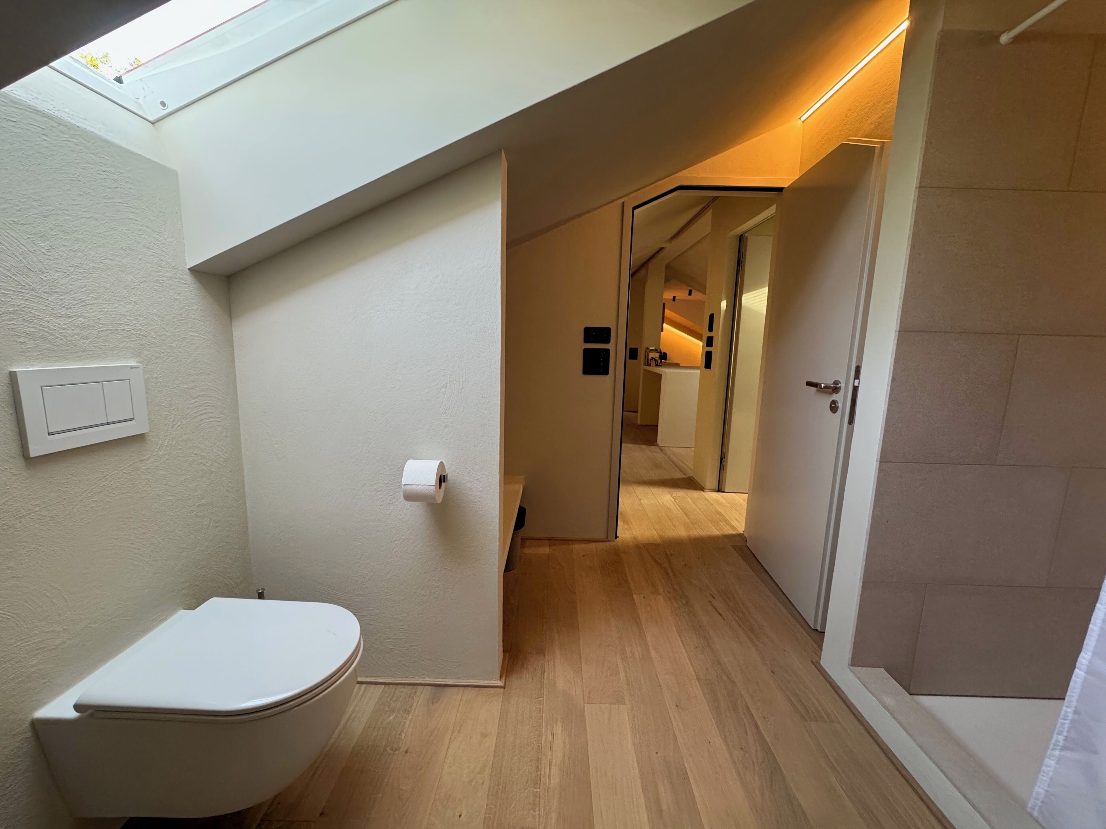 A modern bathroom with a toilet, a shower area, and a skylight.