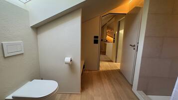 A modern bathroom with a toilet, a shower area, and a skylight.
