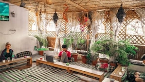 A cozy indoor space with checkered seating, potted plants, and hanging decorations. - The Pink Chapter Hostel, Jaipur (Jaipur)