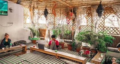 Pachamama Hostel