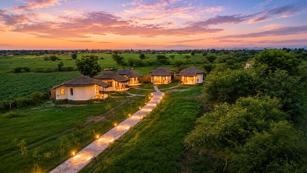 A row of traditional houses with a pathway leading to them, surrounded by lush greenery.