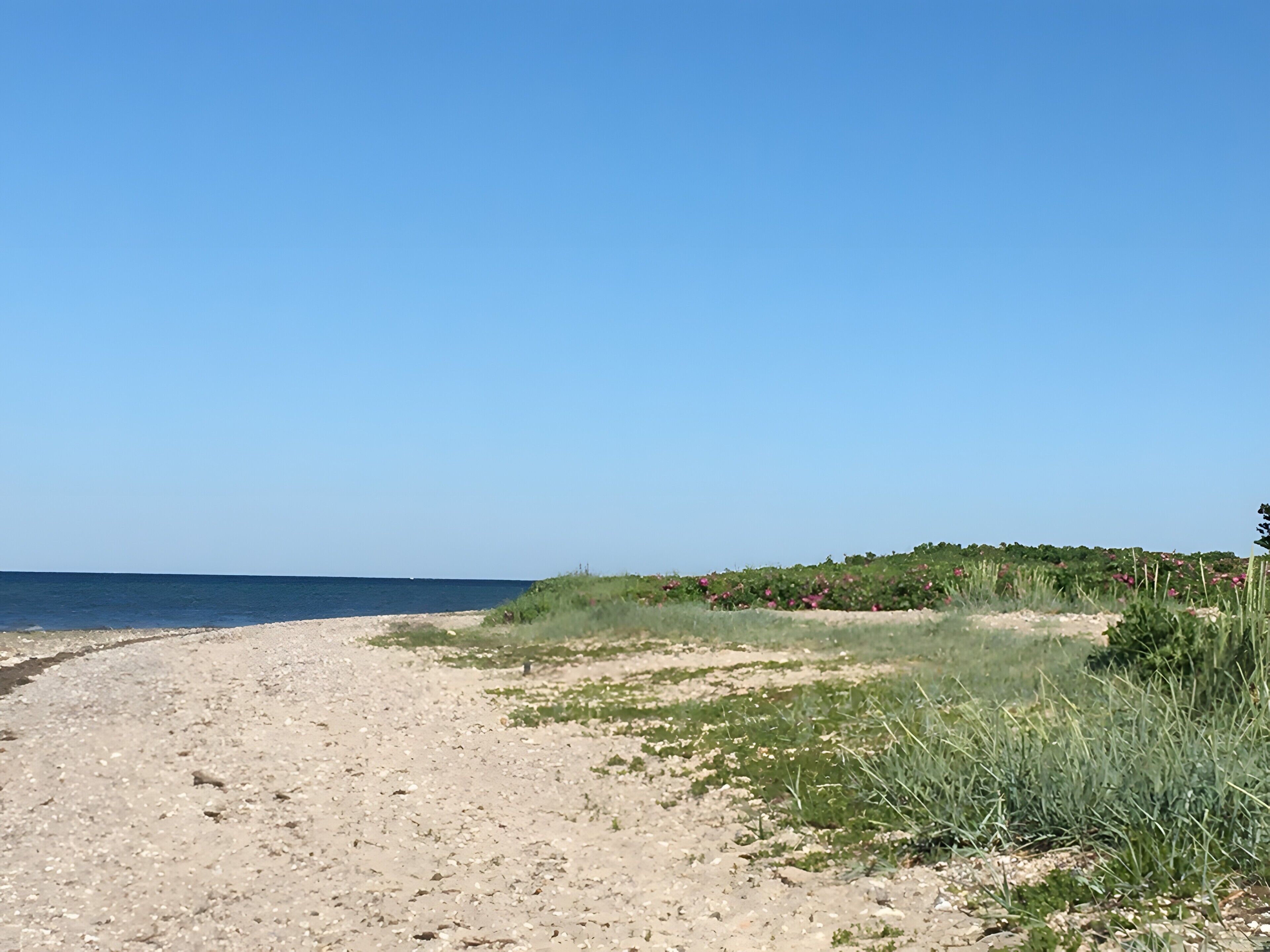 A sandy beach with a clear sky and a distant view of the ocean.