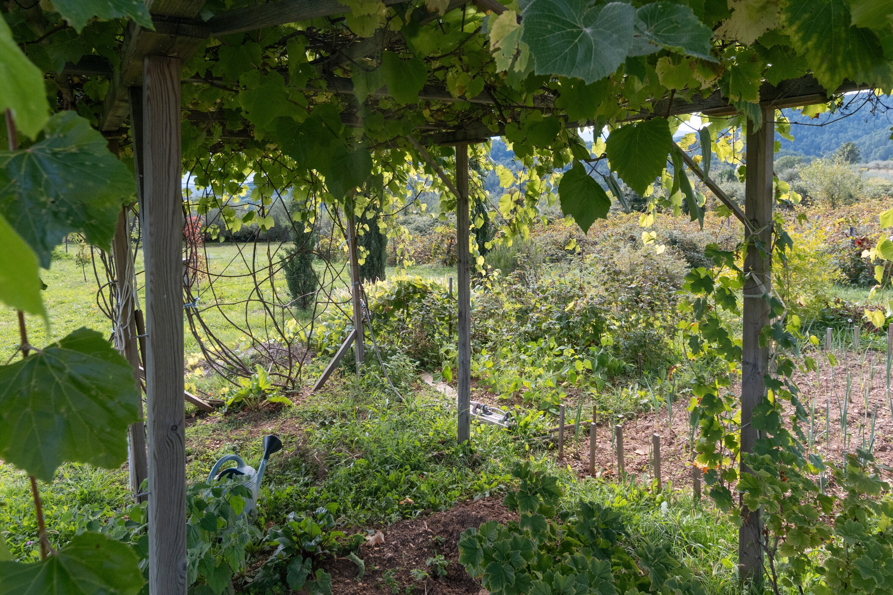 Overnatningsstedets område