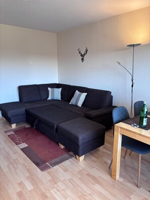 TV, ping pong, books, stereo