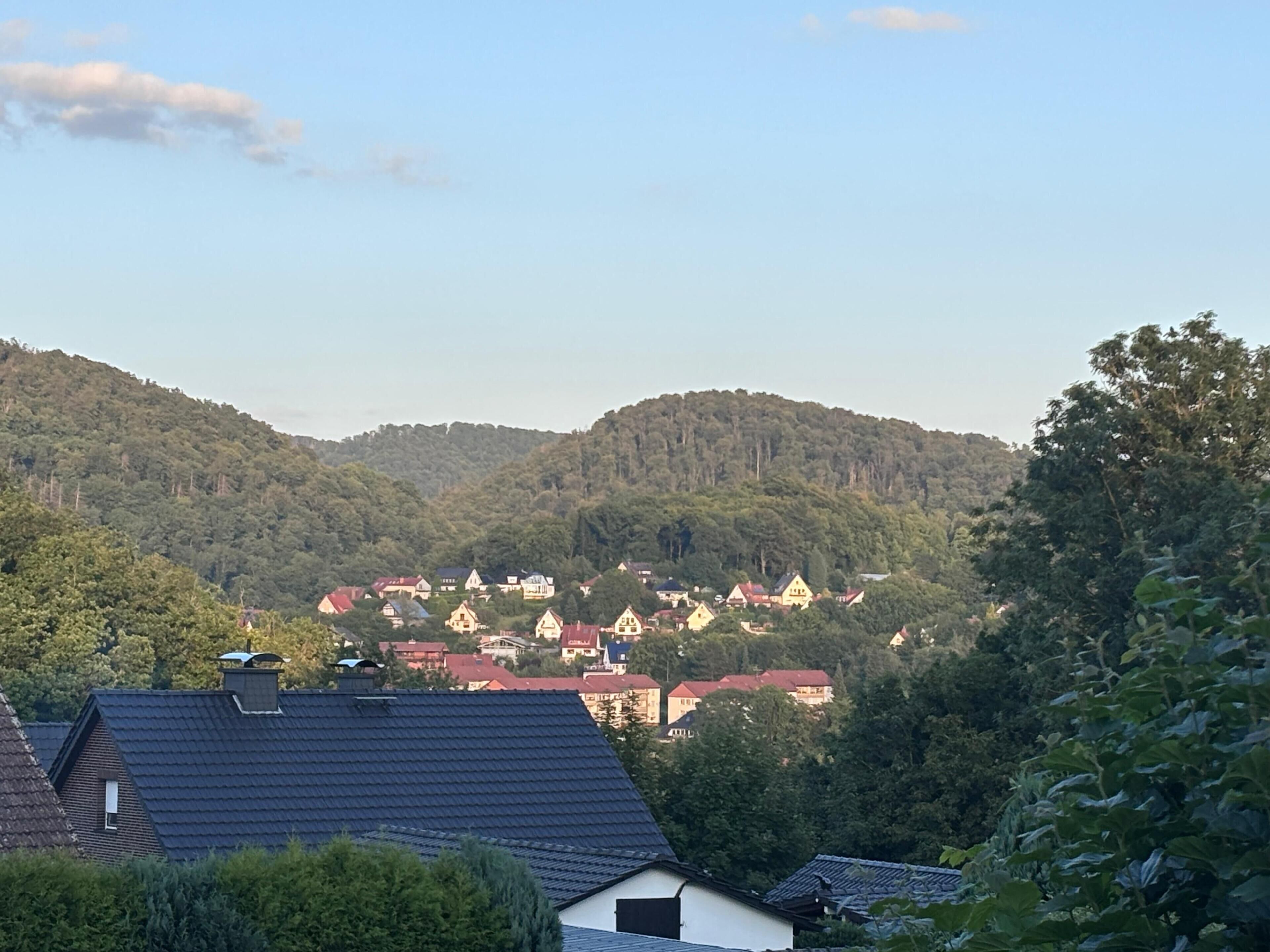 Un quartier résidentiel avec des maisons construites sur une colline, entouré d’une végétation luxuriante.