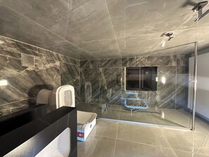 Apartment, 1 Bedroom, Accessible, Smoking | Bathroom