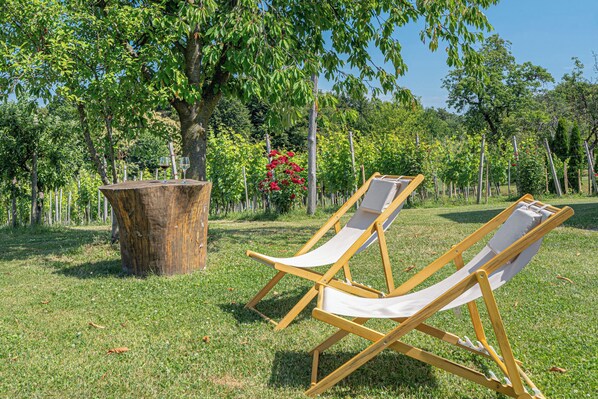 Maison familiale, plusieurs chambres (Wellness House Deer's Hill) | Jardin