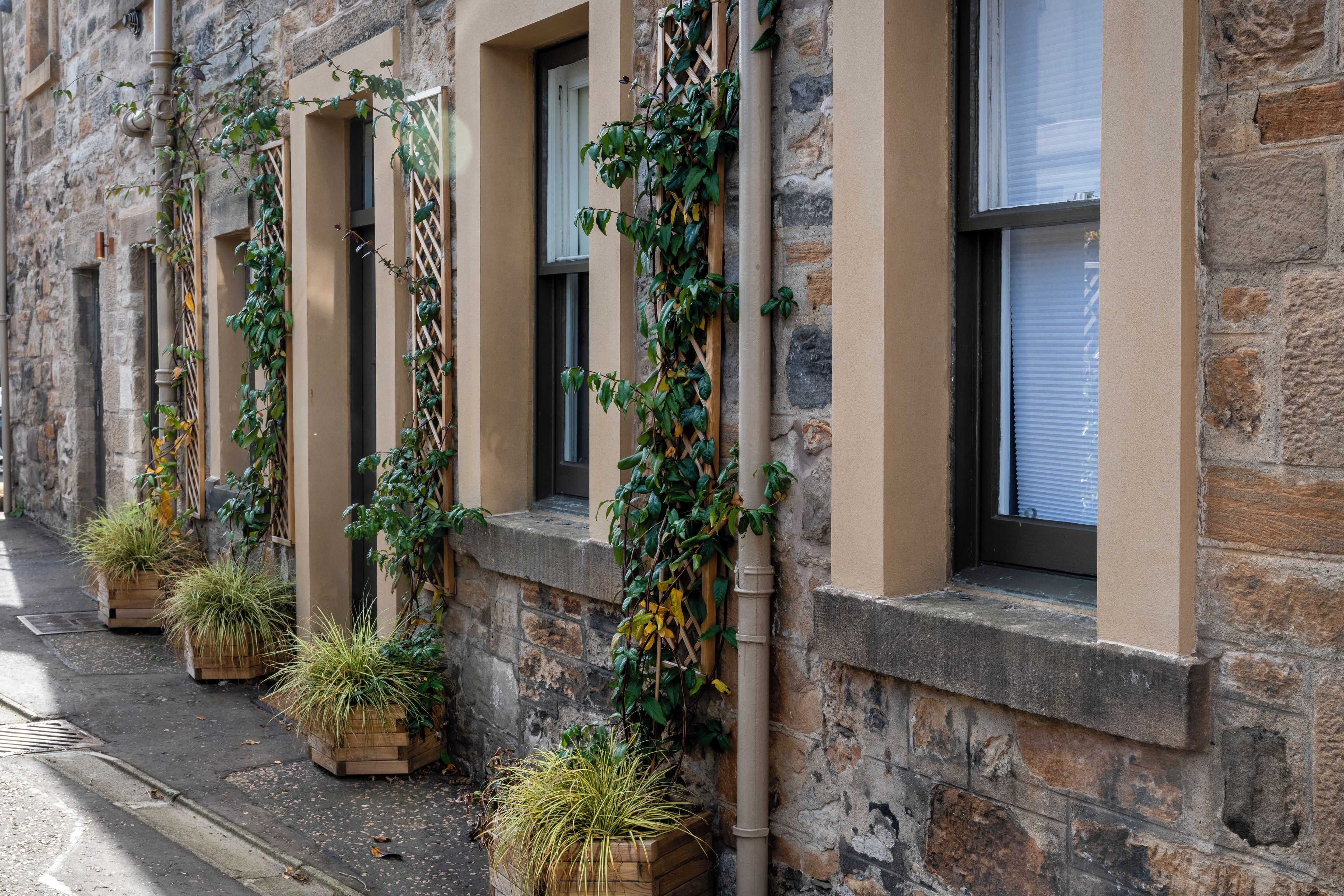 A row of stone buildings with windows, some with plants growing on the exterior.