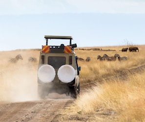 Game drive - Tassia Lodge (Dol Dol)