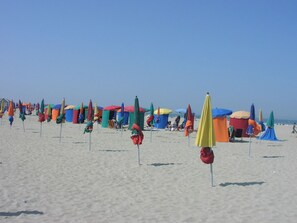 Camastros y toallas de playa 