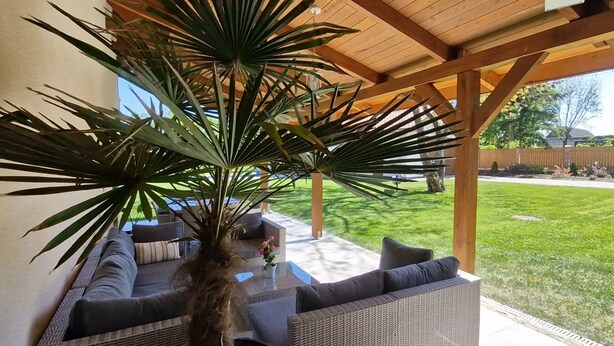 Un patio couvert aménagé avec des meubles en osier et une grande plante en pot.