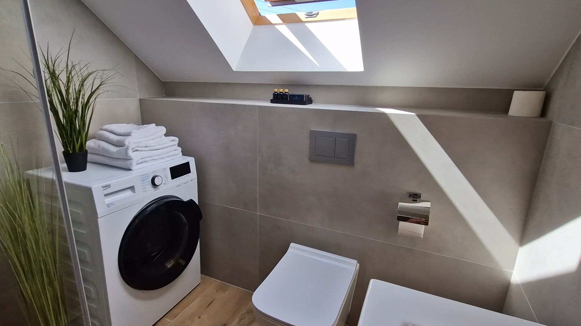 Een compacte, moderne badkamer met een ingebouwde wasmachine, een klein wastafeltje en een toilet. Boven is een dakraam, dat zorgt voor natuurlijk licht, en een potplant voegt een vleugje groen toe.