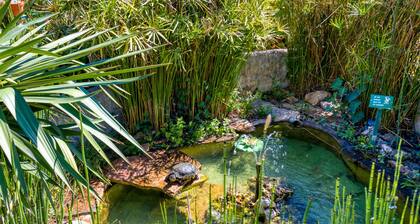 Location Fontaine de Sarac