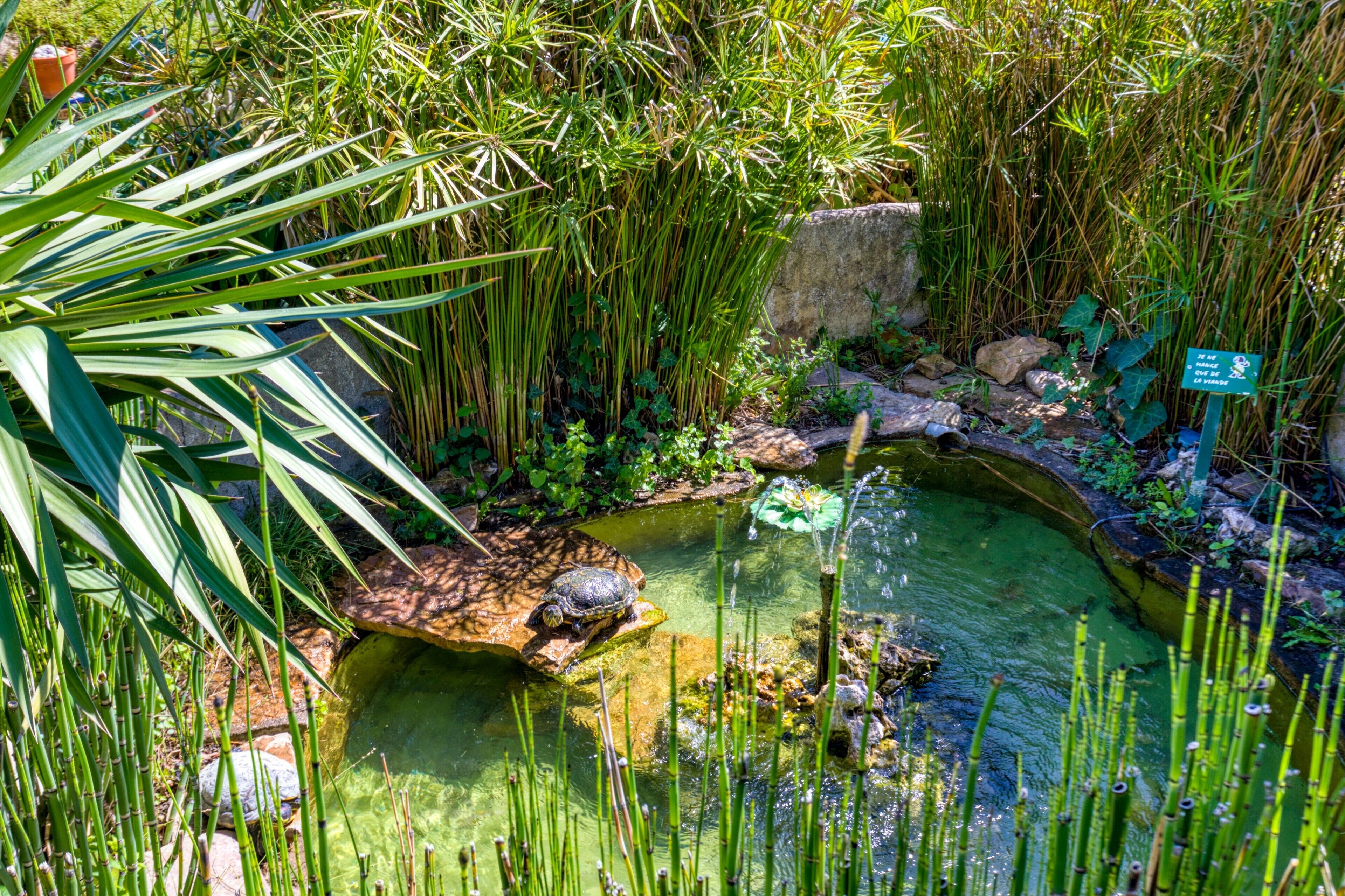 Parco della struttura