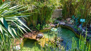 Àrea exterior de l'allotjament