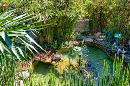 Property grounds. Location Fontaine de Sarac