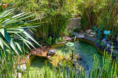 Location Fontaine de Sarac