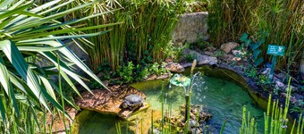 Location Fontaine de Sarac