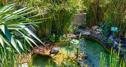 Location Fontaine de Sarac