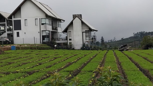 A modern two-story house with a balcony, surrounded by well-maintained green fields. - The Essence (Nuwara Eliya)