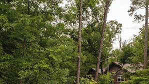 Metsän ympäröimä mökki, jonka edessä on kaksi Adirondack-tyylistä puutarhatuolia.