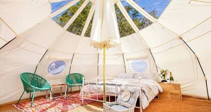 The Stargazer - Farm Stay