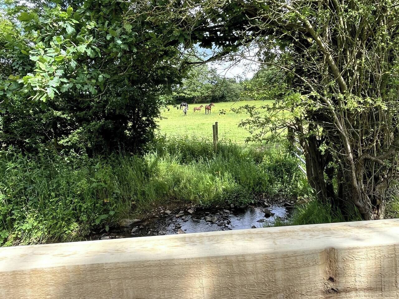 A rural landscape with a stream, trees, and horses grazing in the background.