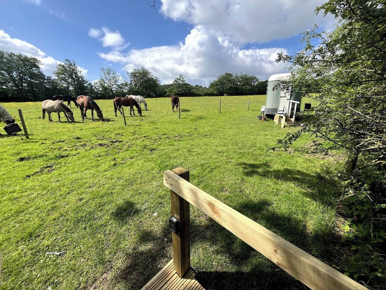 A grassy field with horses grazing, a wooden fence, and a mobile home in the background.