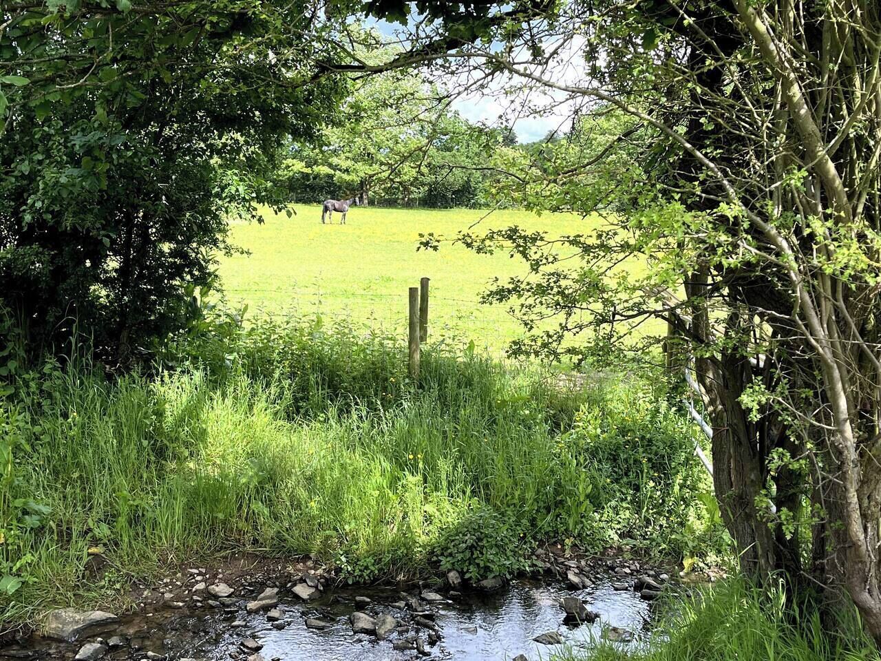A rural landscape with a stream, grassy field, and trees.