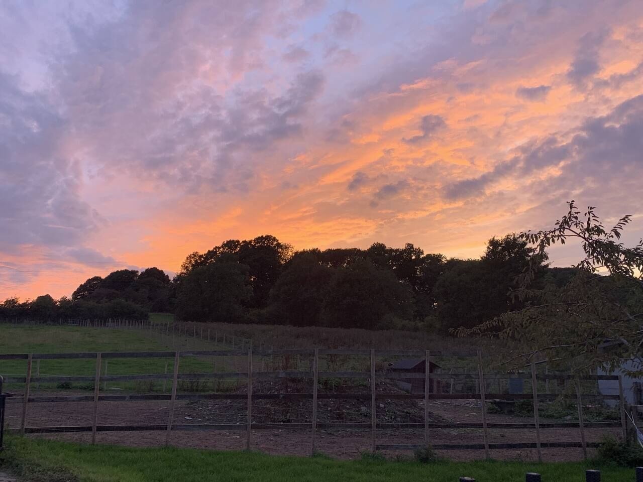 Um campo cercado com árvores ao fundo durante o pôr do sol.