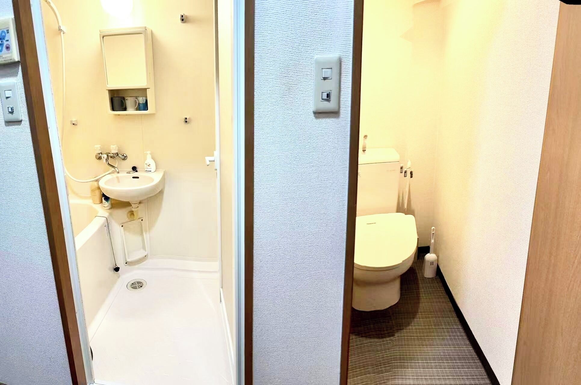 Hair dryer, towels, soap, toilet paper