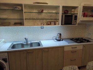 Fridge, microwave, stovetop, electric kettle