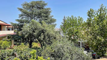 Overnatningsstedets område