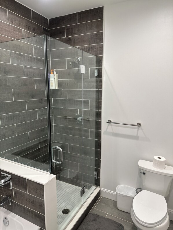 Shower, hair dryer, bidet, towels