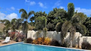 Una piscina con cerca blanca, rodeada de diversas plantas tropicales y un muro blanco.