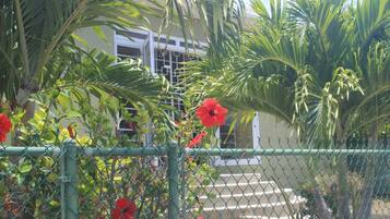 DĂ©tail de lâextĂ©rieur