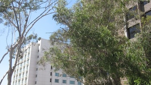 A multi-story building with a white facade and numerous windows. There are trees and shrubs in the foreground, and a date stamp of 05/02/2017 is visible. - Lovely condo with AC in vibrant Tijuana Excellent location main avenue SAFE (Tijuana)