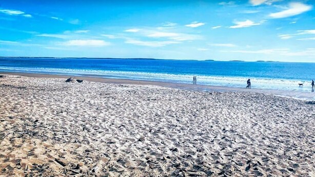Ein Strand mit blauem Himmel und ruhiger See.