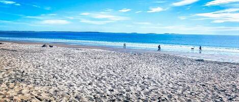 Playa en los alrededores