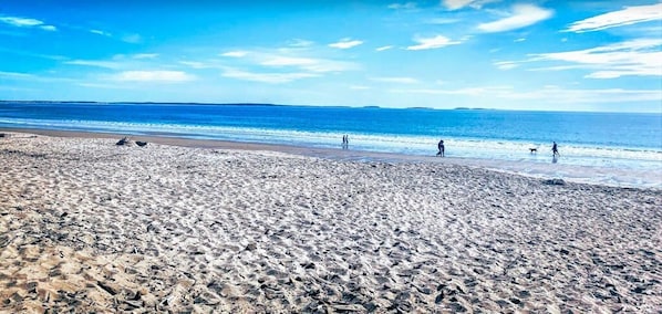 Nära stranden