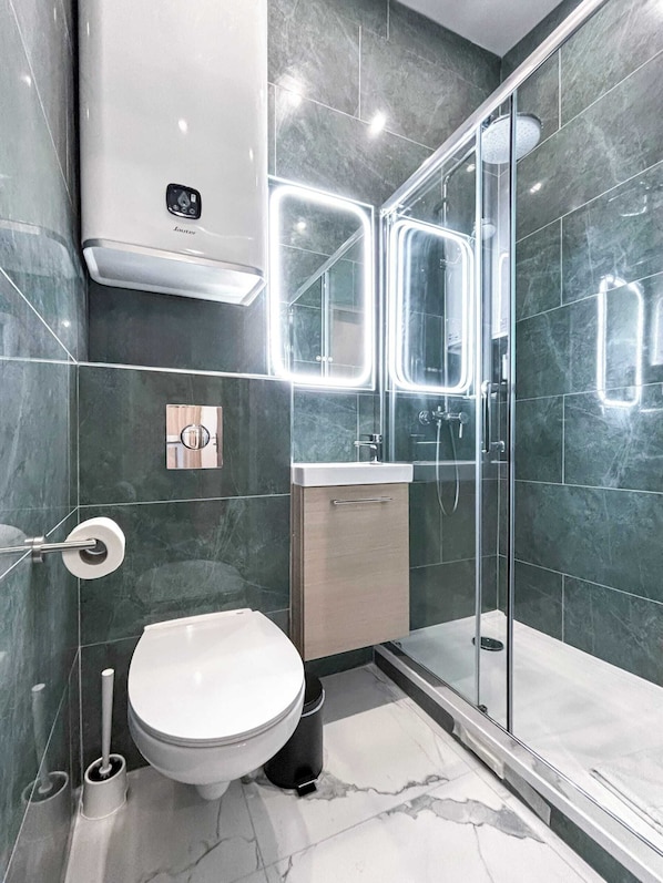 Shower, hair dryer, towels