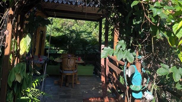 A wooden pergola with a green table and chairs underneath, surrounded by lush greenery and a clear blue sky. - Comfort bungalow (Saint-Paul)